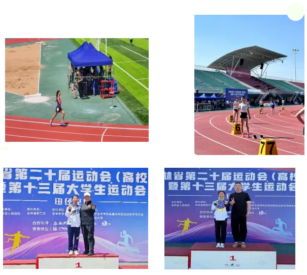 成人导航
